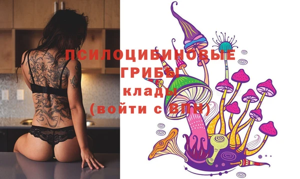 прущая мука Осташков
