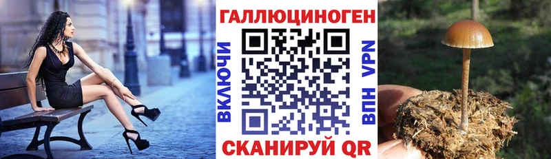 hydra ссылка  Белгород  Галлюциногенные грибы мицелий 