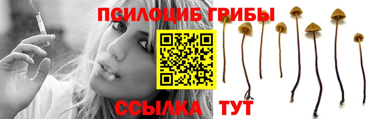 Псилоцибиновые грибы Psilocybe  закладки  Белгород  Вход с VPN 