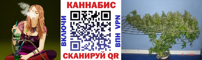 маркетплейс как зайти  Белгород  Бошки марихуана OG Kush 
